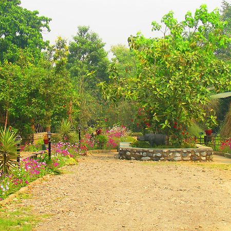 Chitwan Gaida Lodge Sauraha Esterno foto