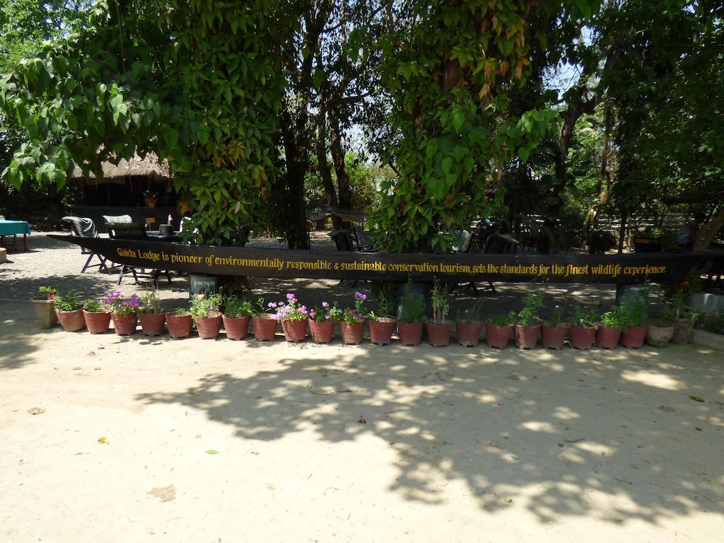 Chitwan Gaida Lodge Sauraha Esterno foto