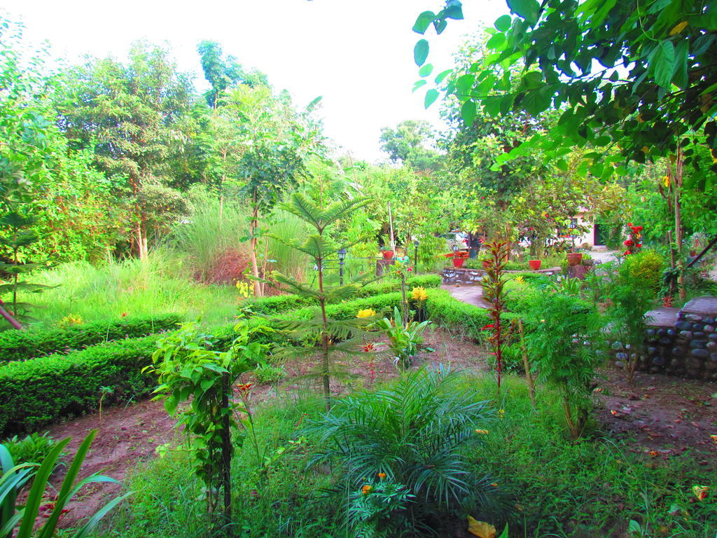 Chitwan Gaida Lodge Sauraha Esterno foto