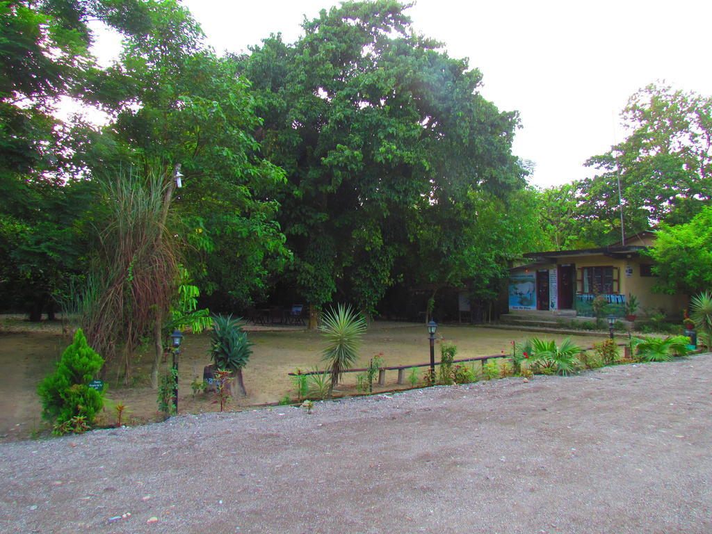 Chitwan Gaida Lodge Sauraha Esterno foto