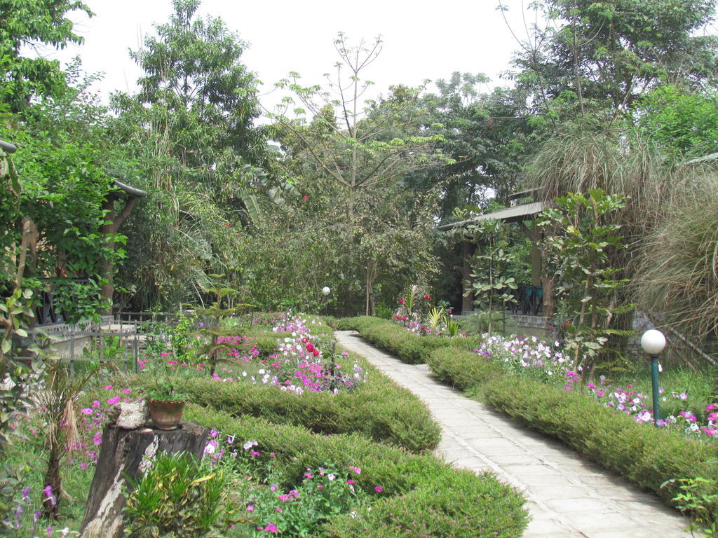 Chitwan Gaida Lodge Sauraha Esterno foto