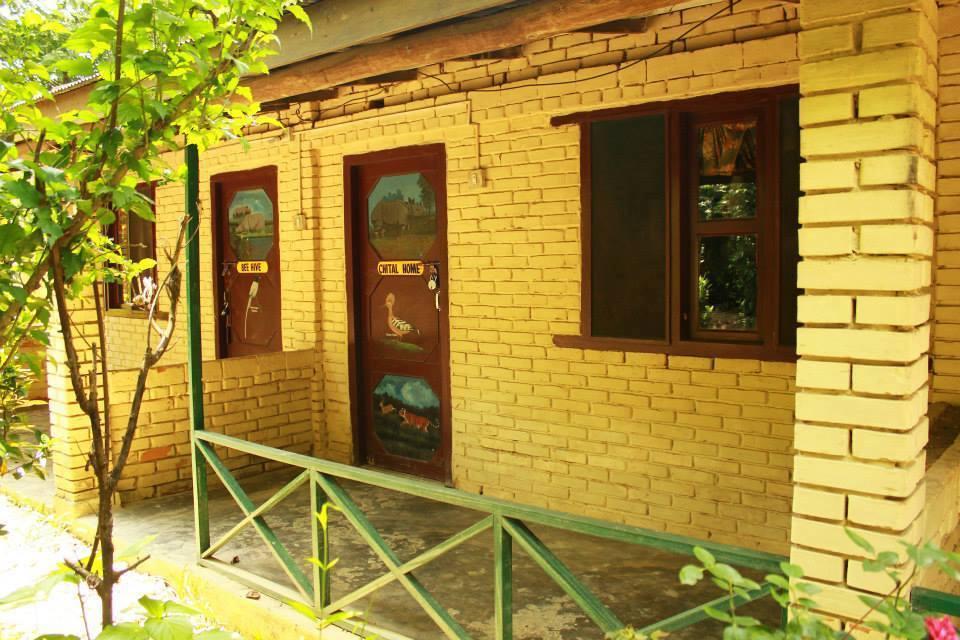 Chitwan Gaida Lodge Sauraha Esterno foto