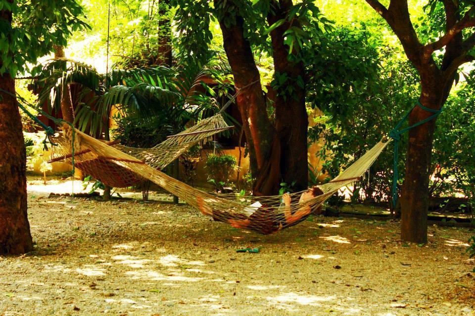 Chitwan Gaida Lodge Sauraha Esterno foto