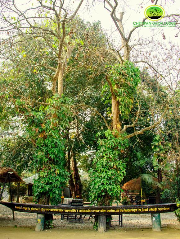 Chitwan Gaida Lodge Sauraha Esterno foto