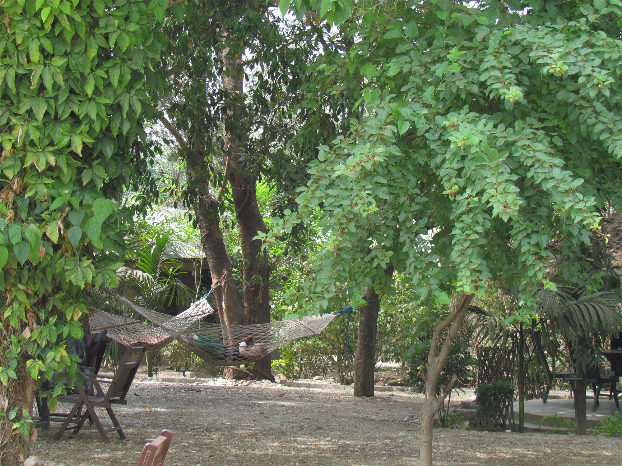 Chitwan Gaida Lodge Sauraha Esterno foto