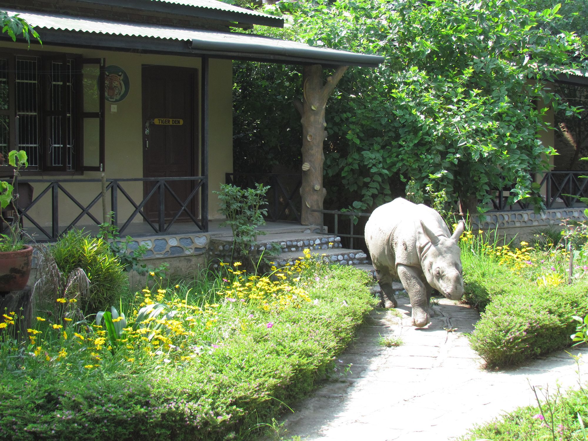 Chitwan Gaida Lodge Sauraha Esterno foto